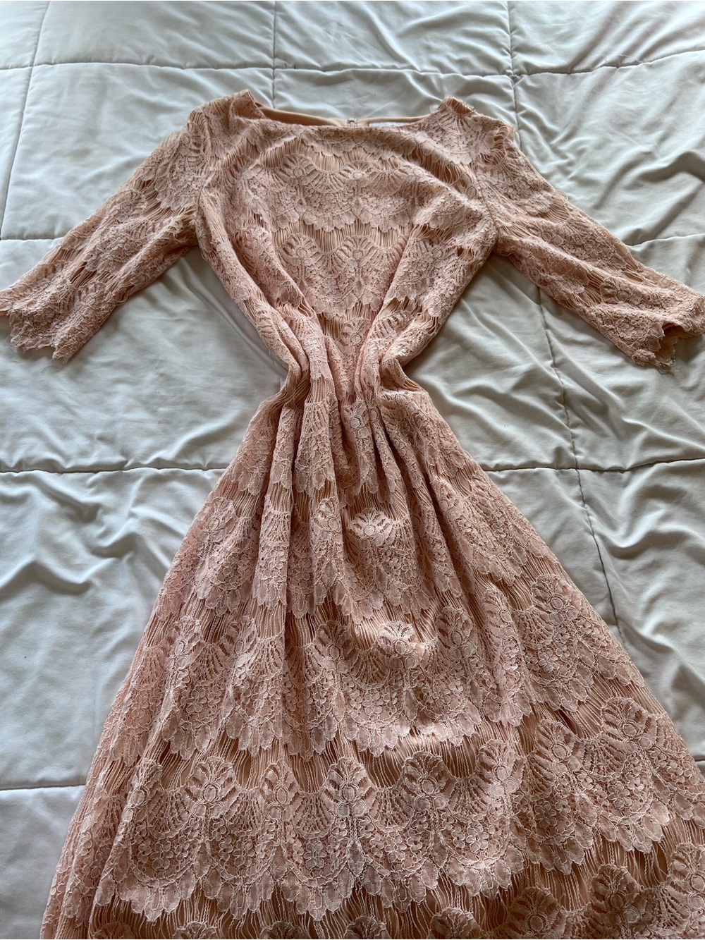 Dainty Jewells Blush Lace Long Sleeve Midi Dress